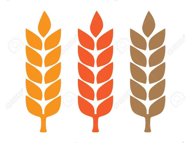 Free download clip art. Grains clipart feather