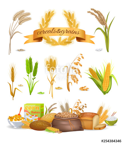 grains clipart grain product