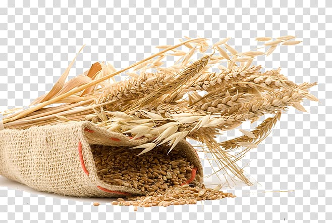 grains clipart high fiber diet