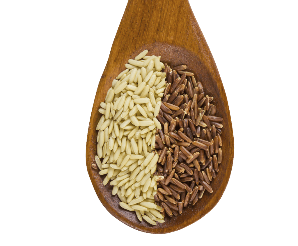 Grains starchy food free. Wheat clipart jpeg