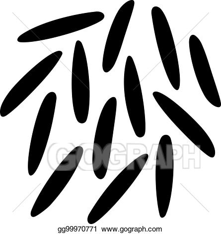 Eps illustration long grain. Grains clipart vector