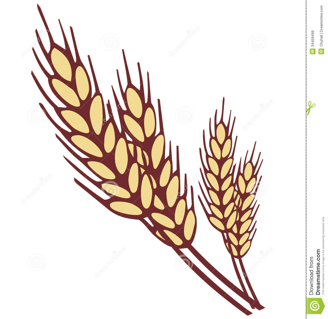 grains clipart wheat stock