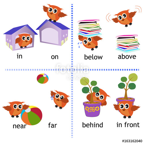 Preposition english with owl. Grammar clipart vector