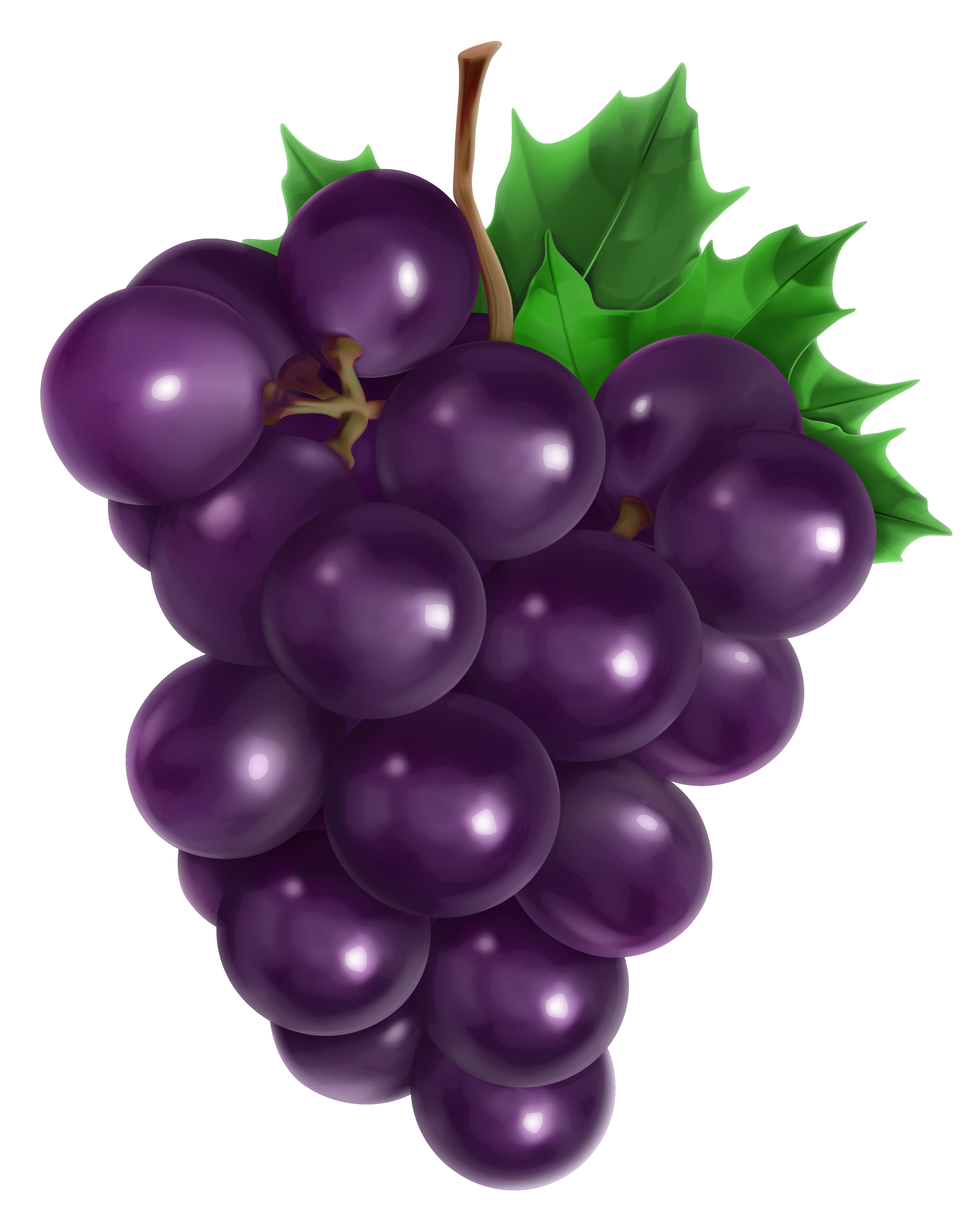 Transparent png picture gallery. Grape clipart
