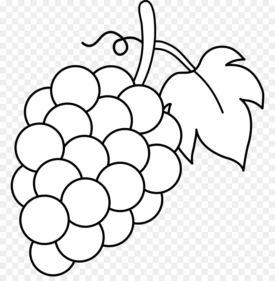 Common vine wine juice. Grape clipart