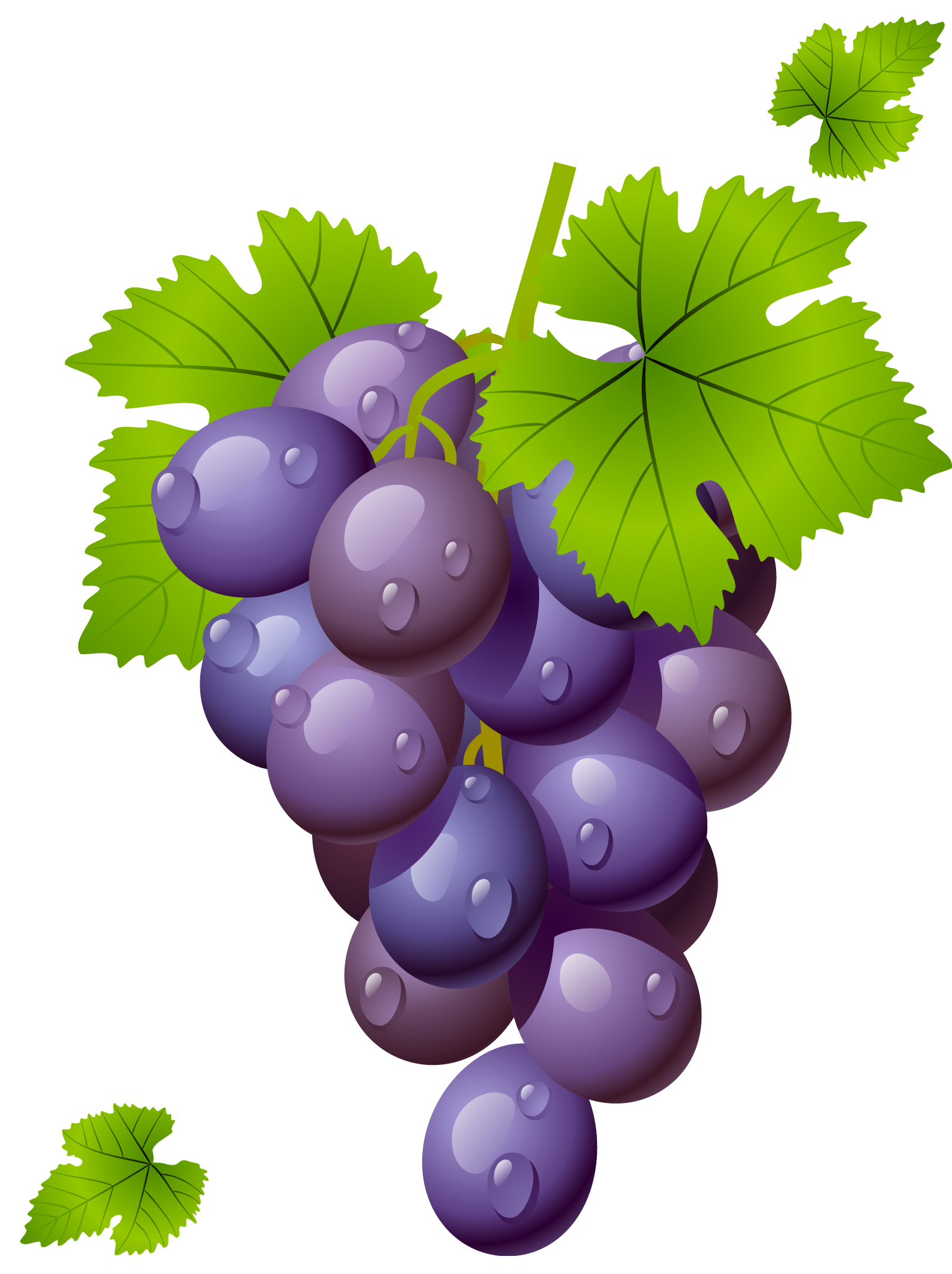 Grape clipart. With leaves png picture