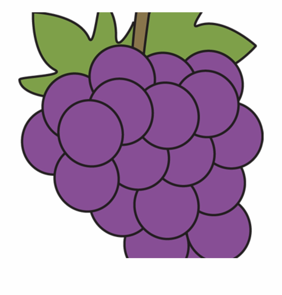 Free preschool black . Grapes clipart purple grape
