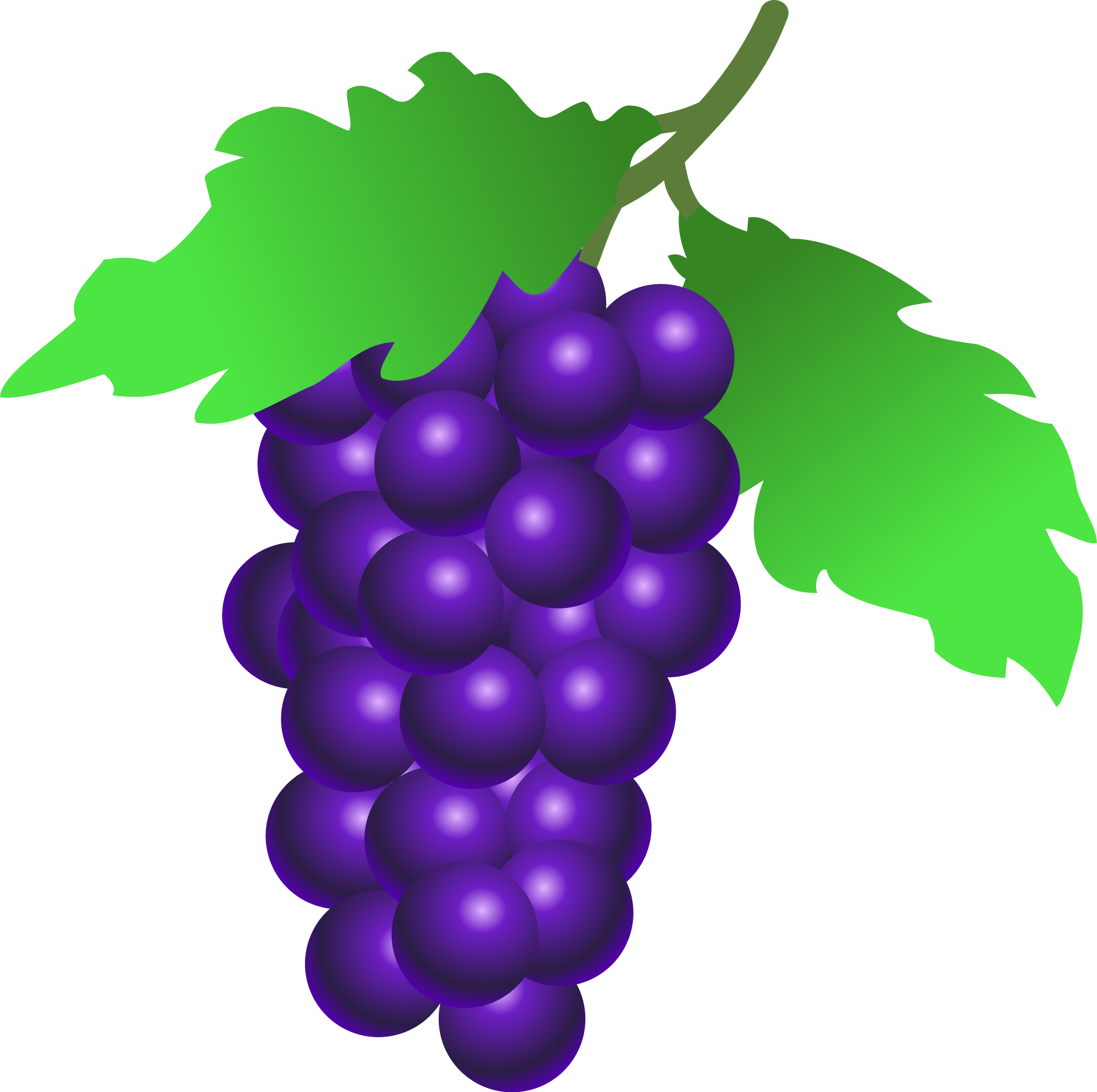 grapes clipart svg