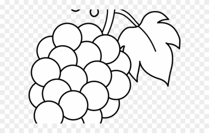 grape clipart black and white