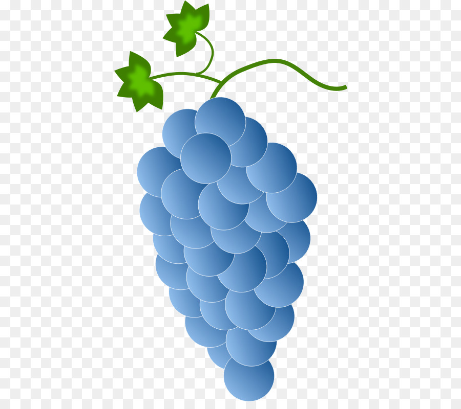 Leaf circle png download. Grape clipart blue grape