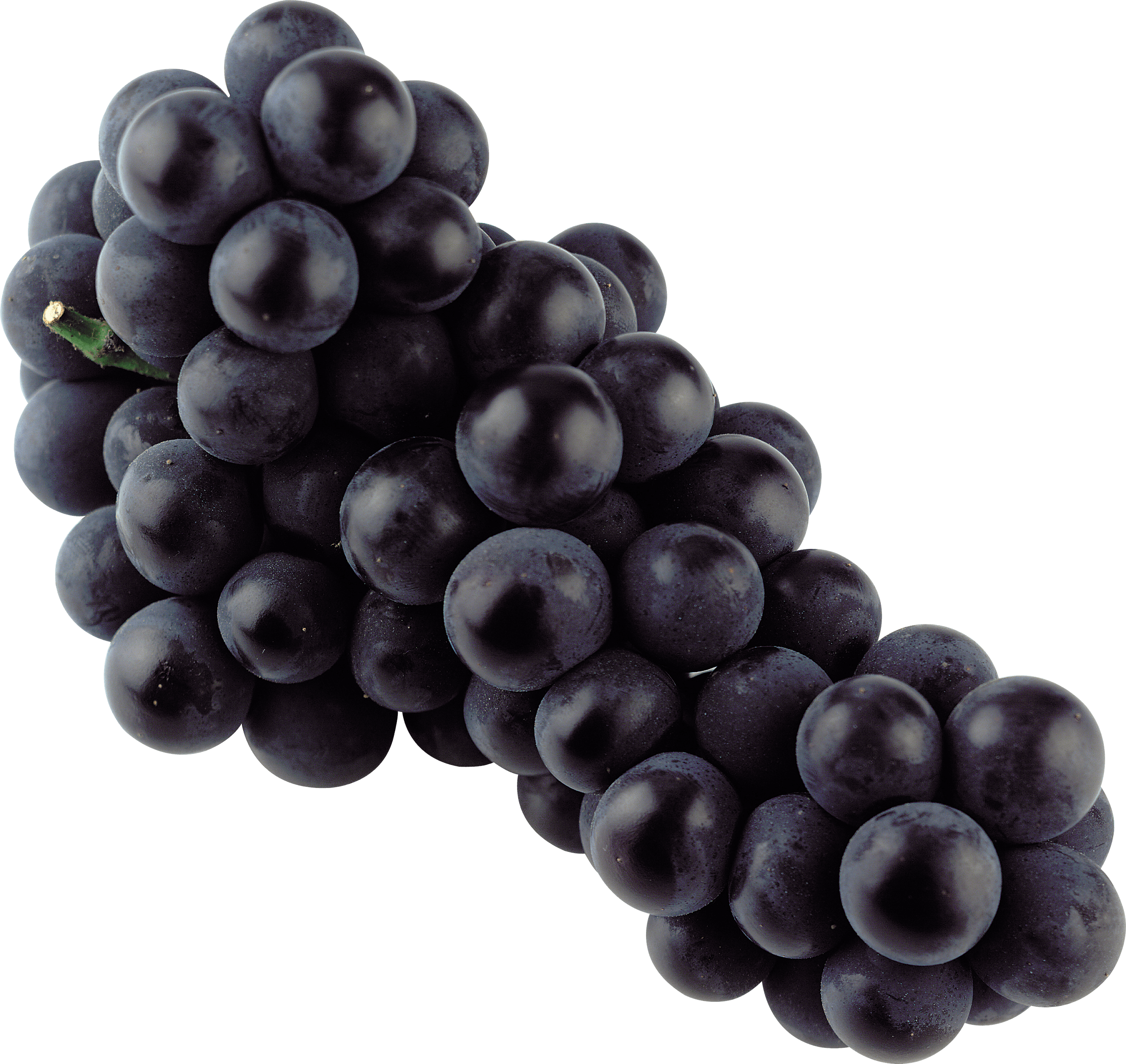 Grape clipart blue grape. Isolated transparent png stickpng