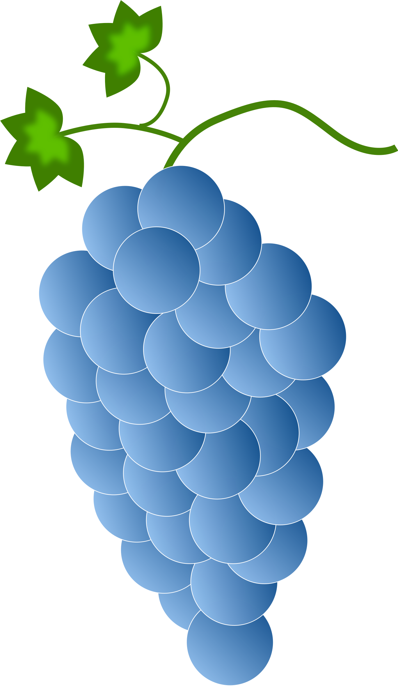 grape clipart blue grape