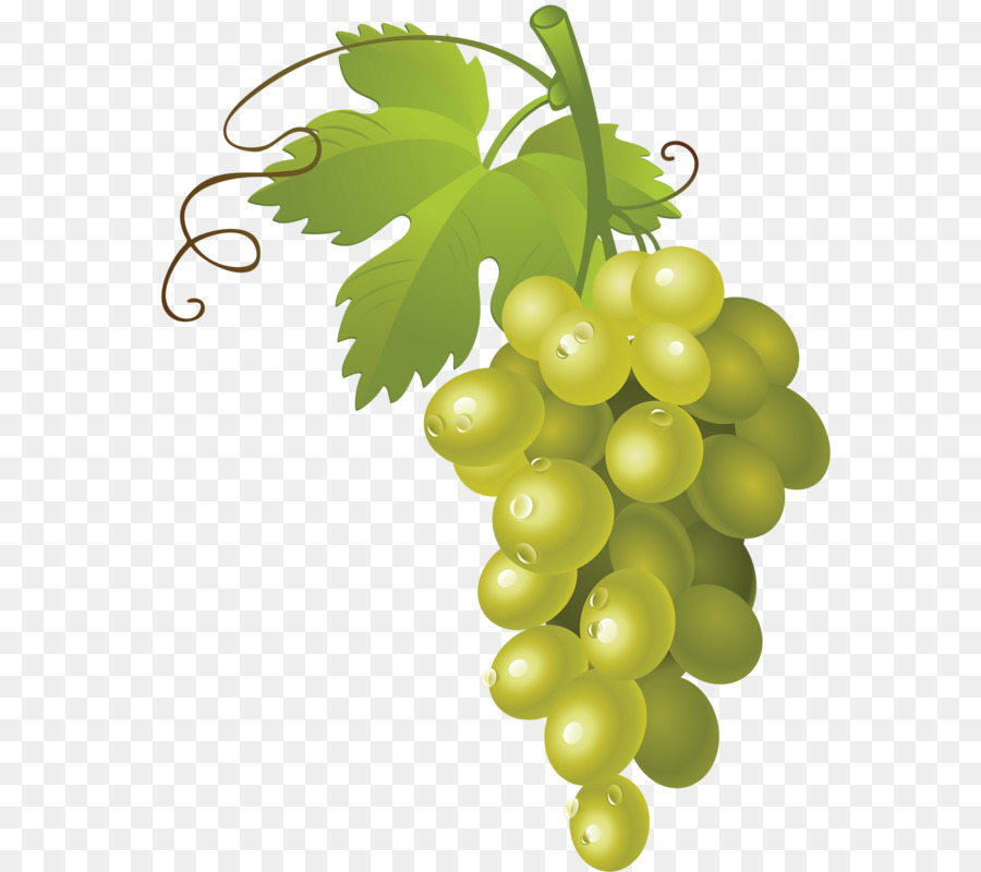 Grape clipart bunch grape. Of grapes png free