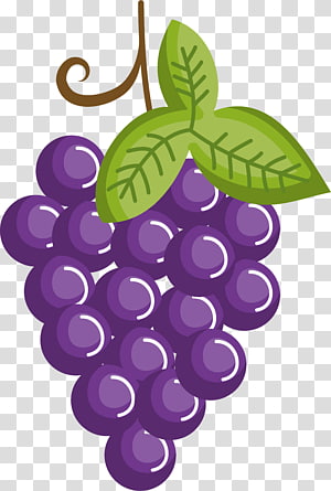 Grapes clipart cartoon. Transparent background png cliparts