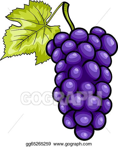 Vector blue fruit cartoon. Grapes clipart illustration