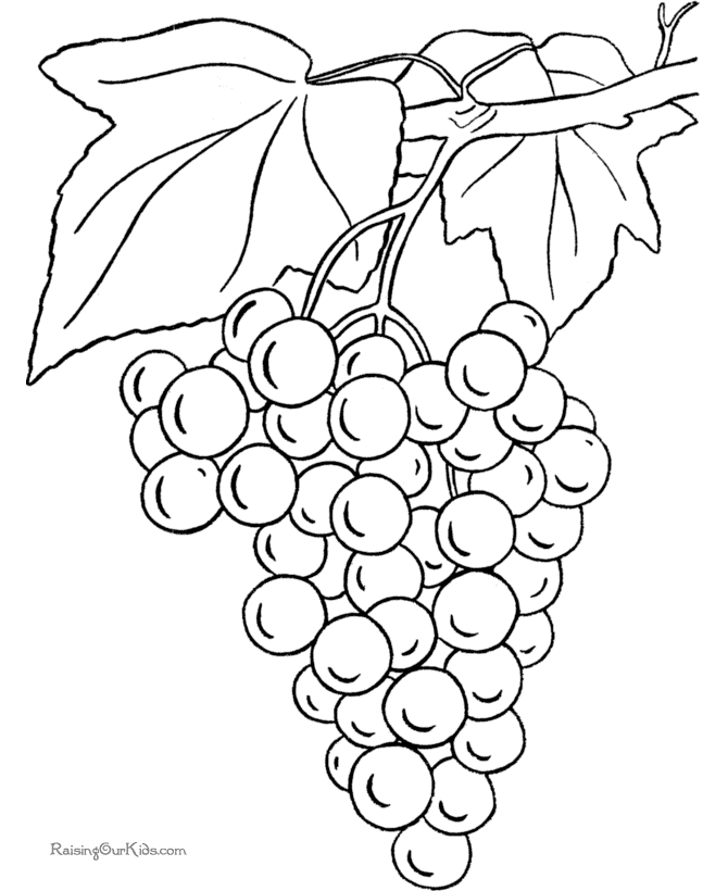 Grapes pages for kids. Grape clipart coloring sheet