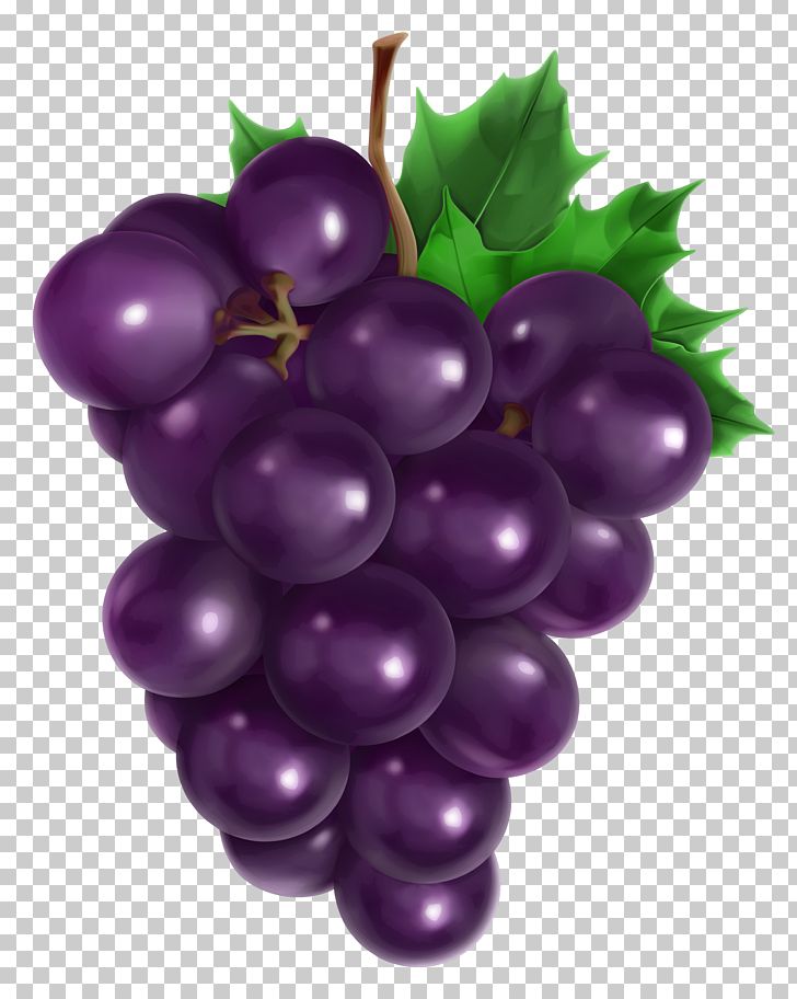 grape clipart common fruit