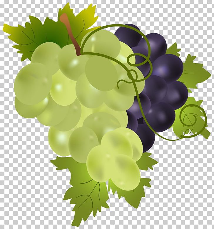 grape clipart common fruit