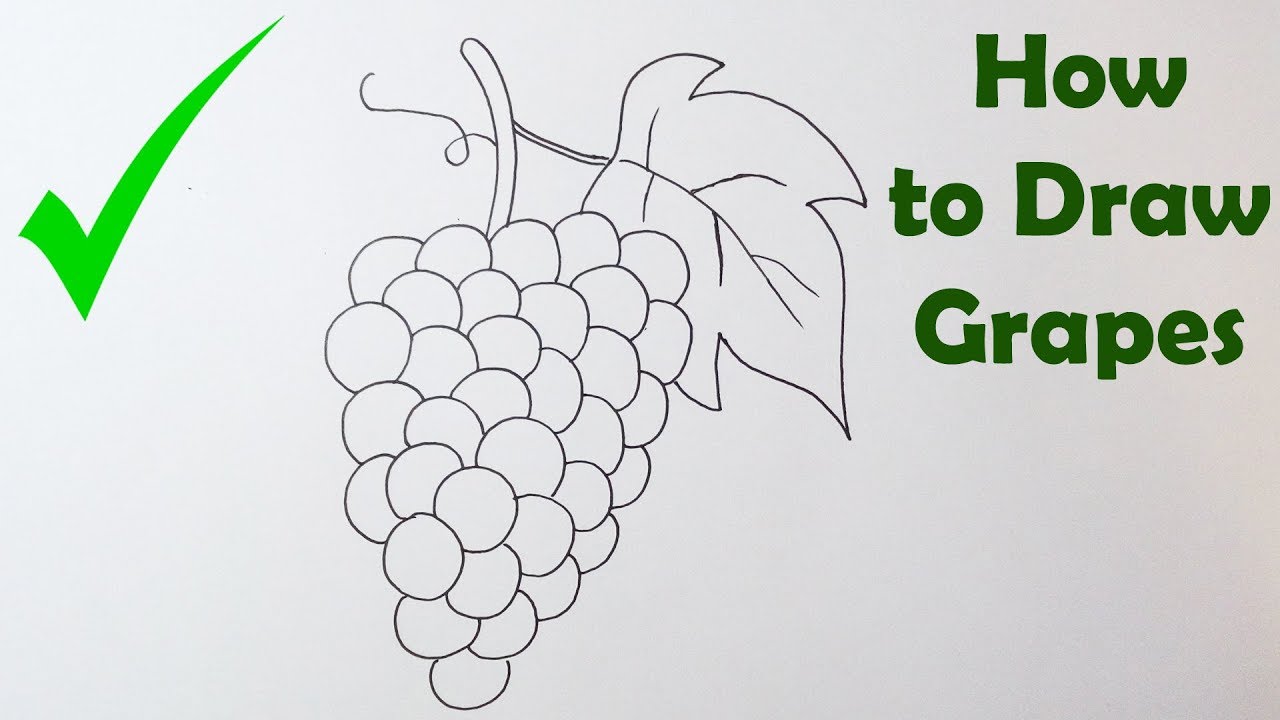 grapes clipart easy draw