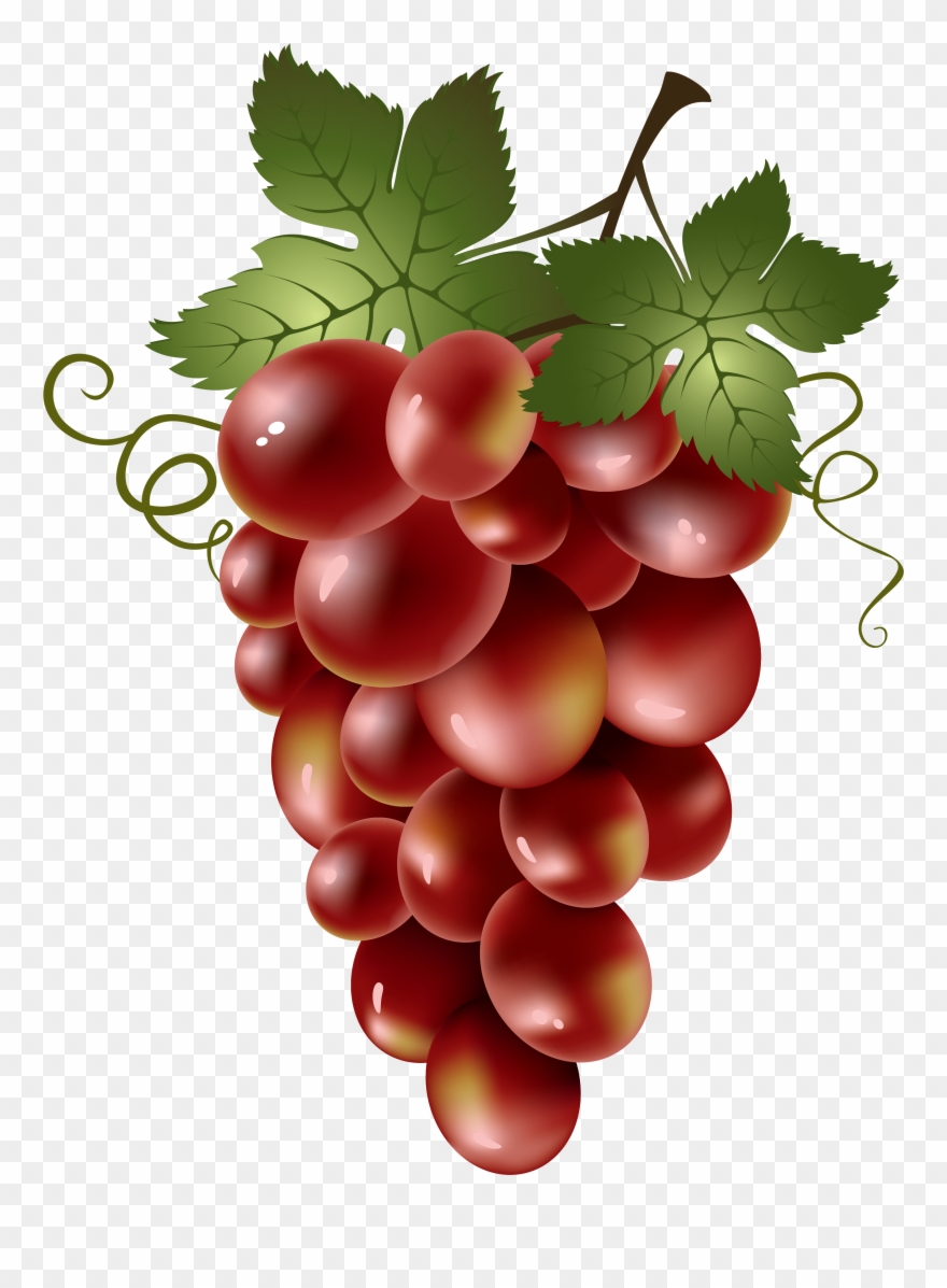 grape clipart food