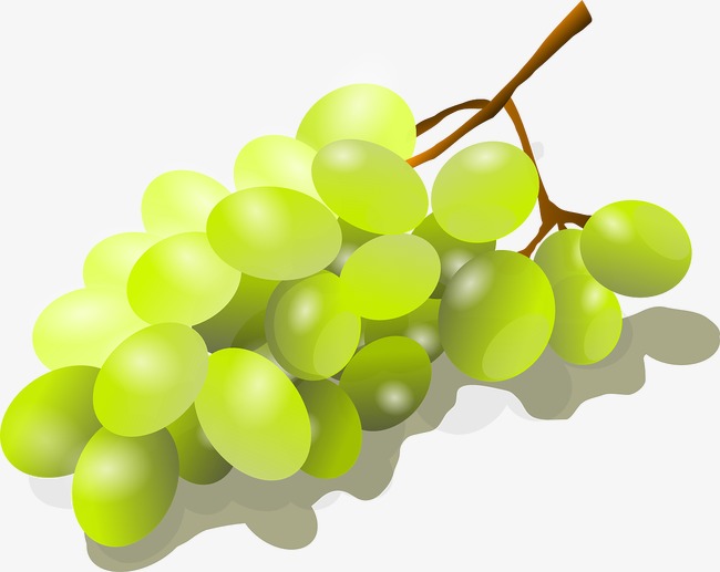 grapes clipart fresh