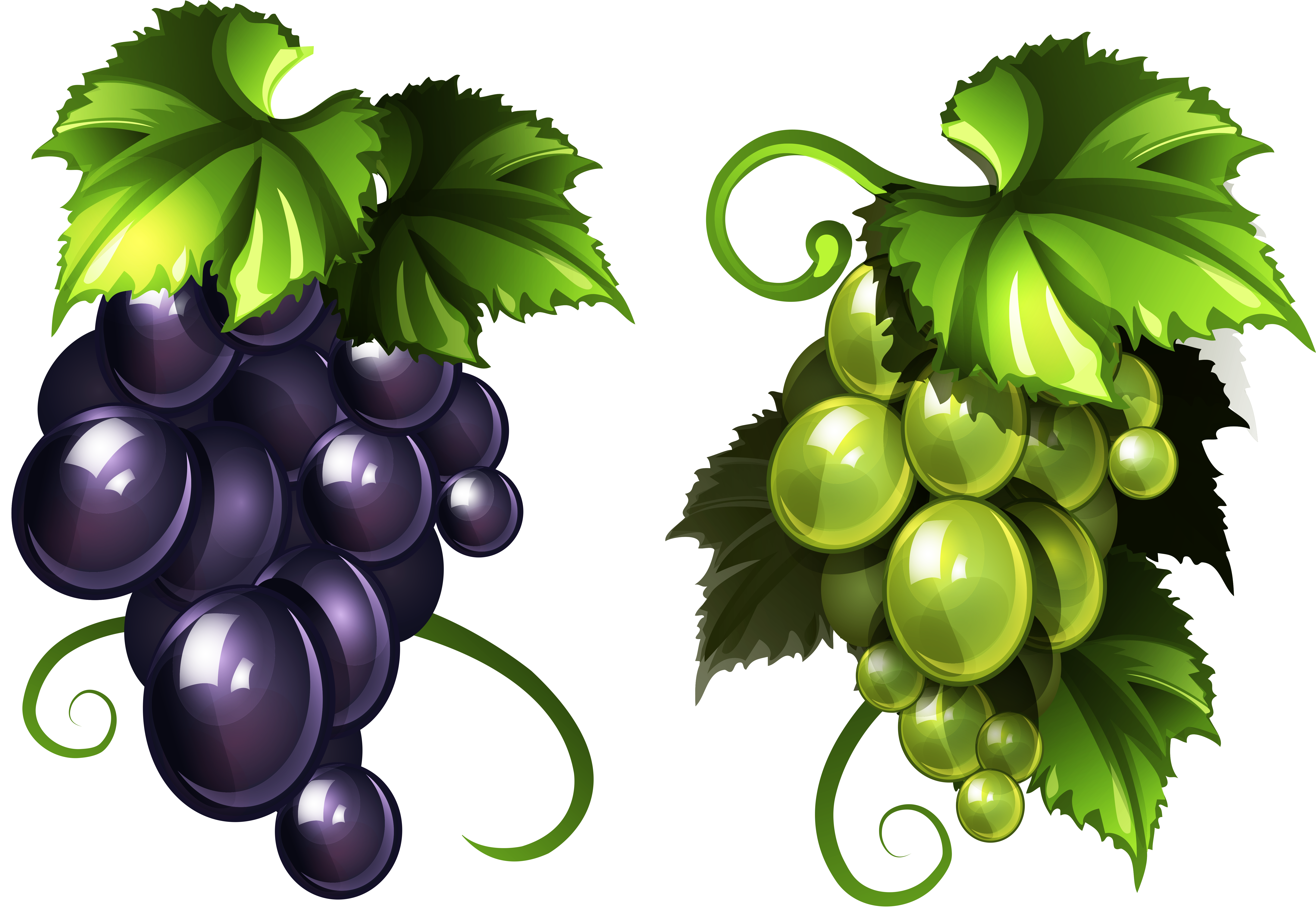 Grape clipart fruit vegetable.  b orig winogrona