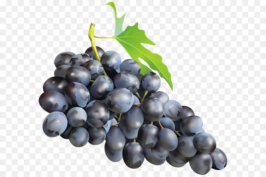 Grape clipart grap. Muscat muscadine must black