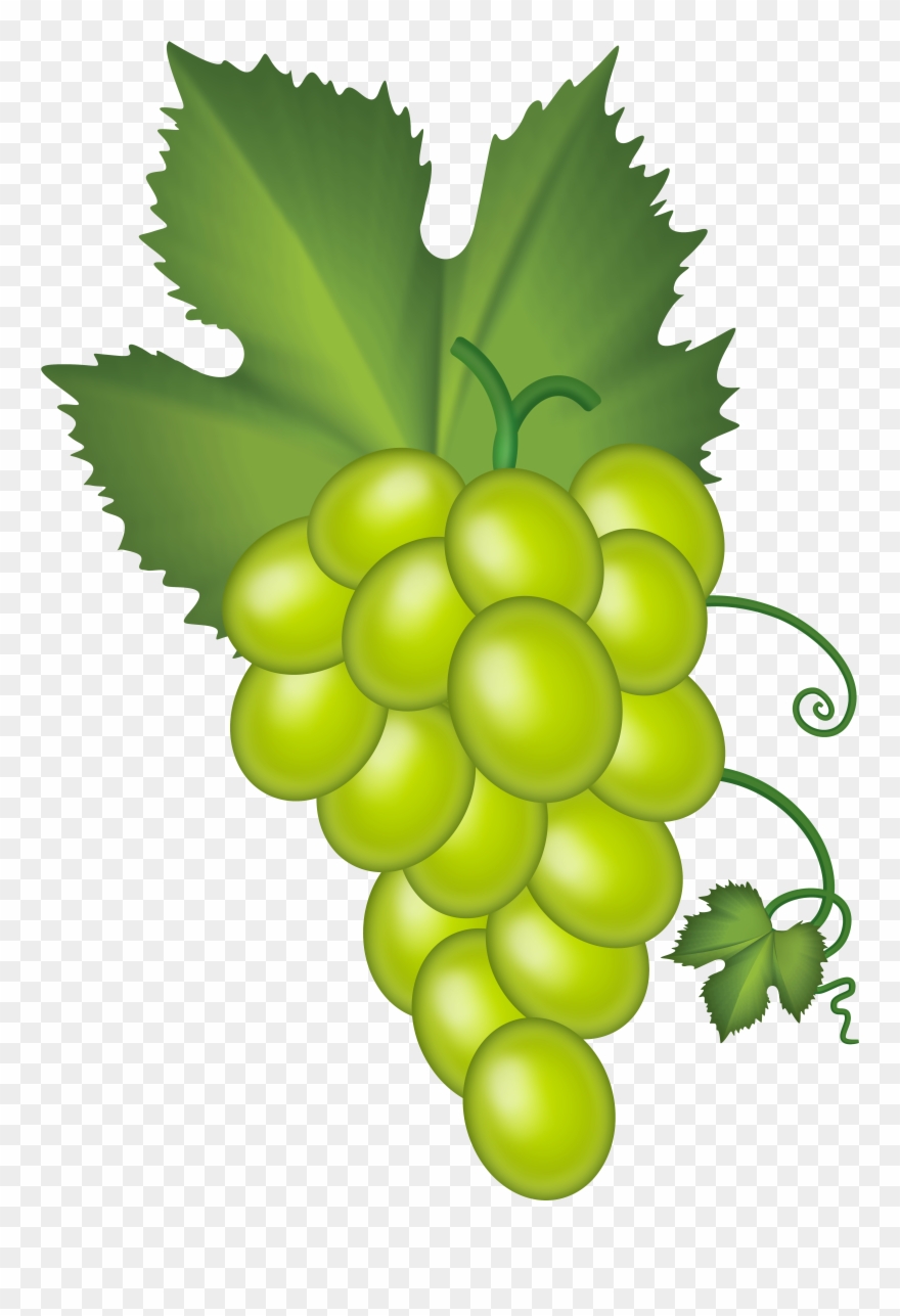 grape clipart grape cluster