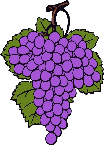 grapevine clipart grape cluster
