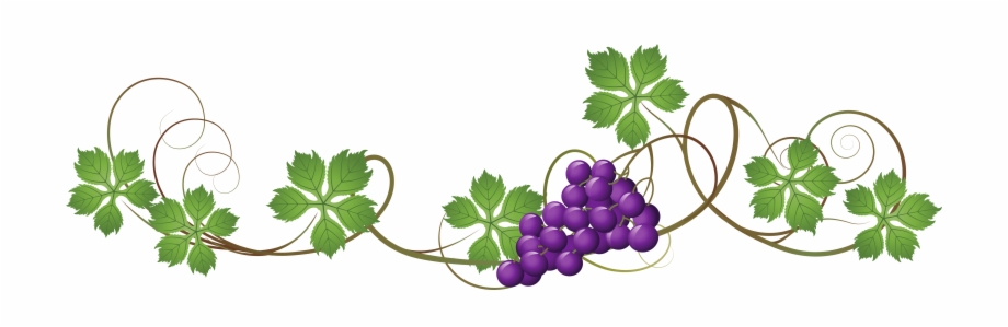 Decoration png picture grapes. Grape clipart grape vine