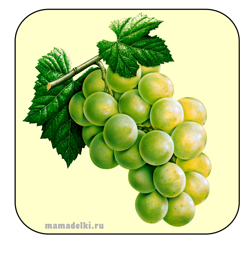 Grape clipart green item. Winogrona jedzenie produkty pinterest