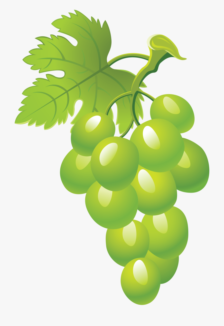 Grapes transparent . Grape clipart green item
