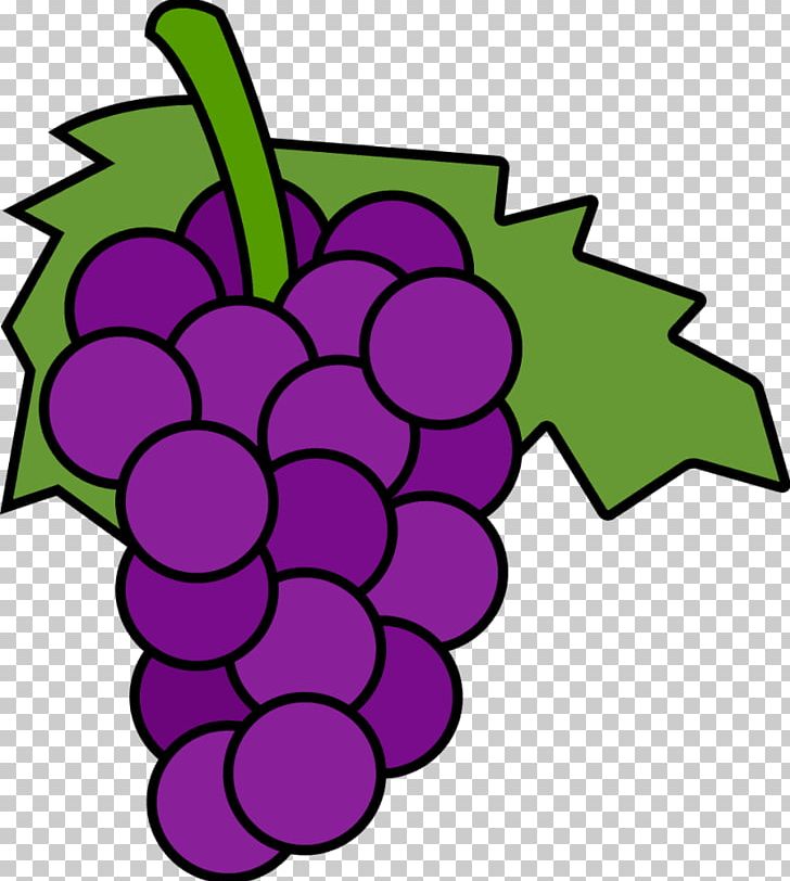 grape clipart high re