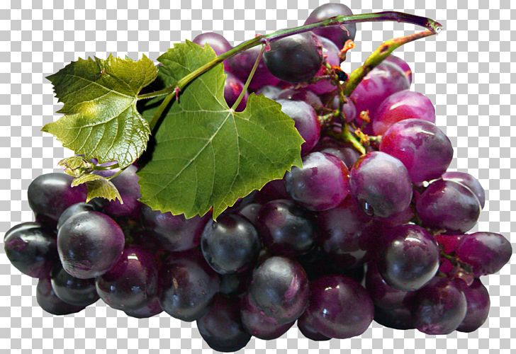 grape clipart high re