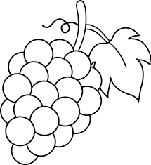 grape clipart line art