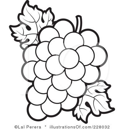 grape clipart line art
