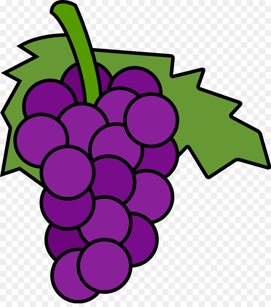 grape clipart line art