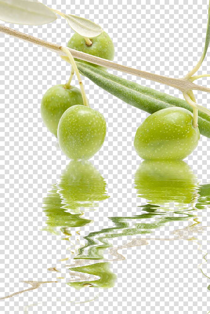 Grape clipart olive. Da tavola branch olives