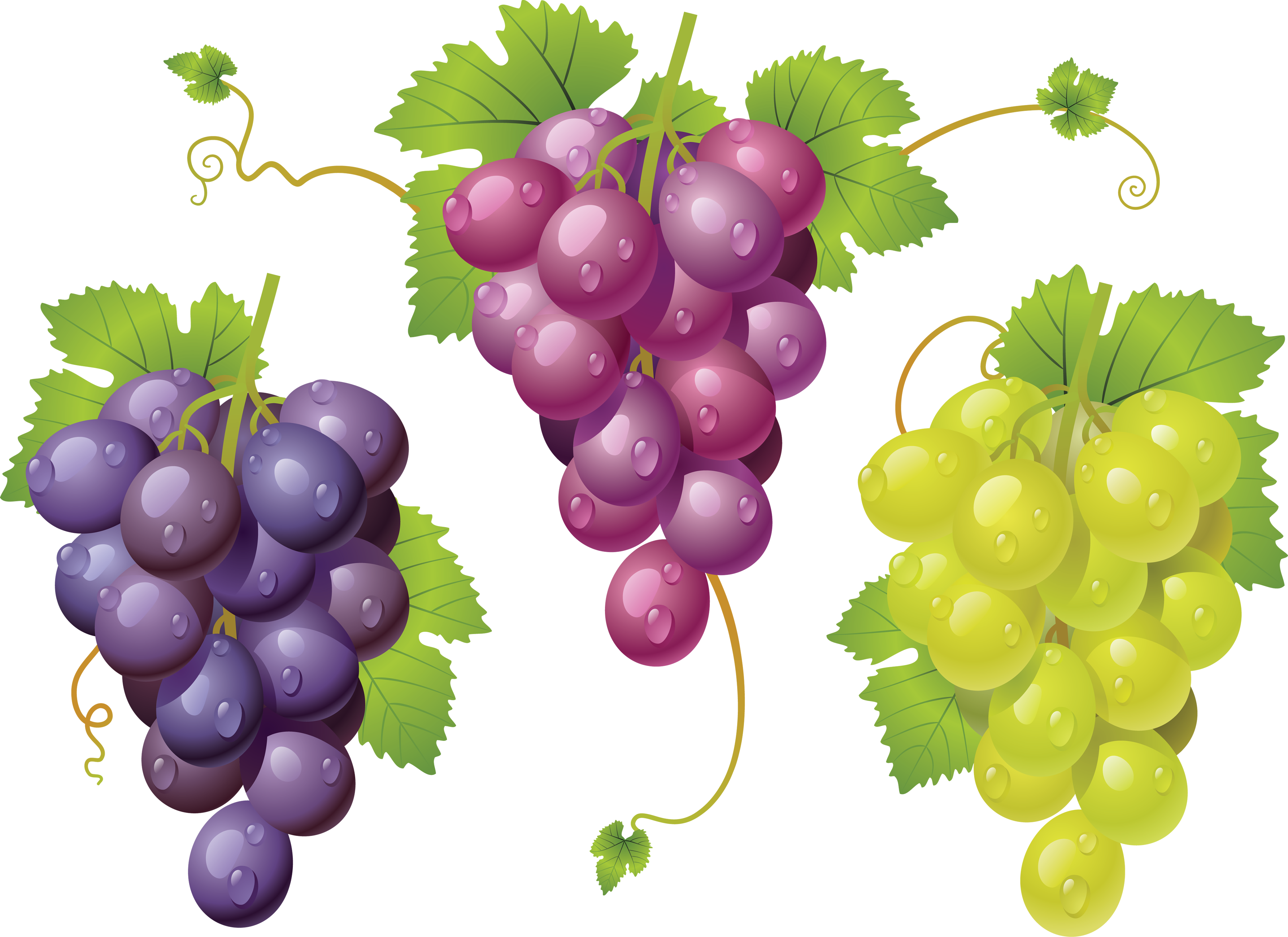grapes clipart pacman fruit