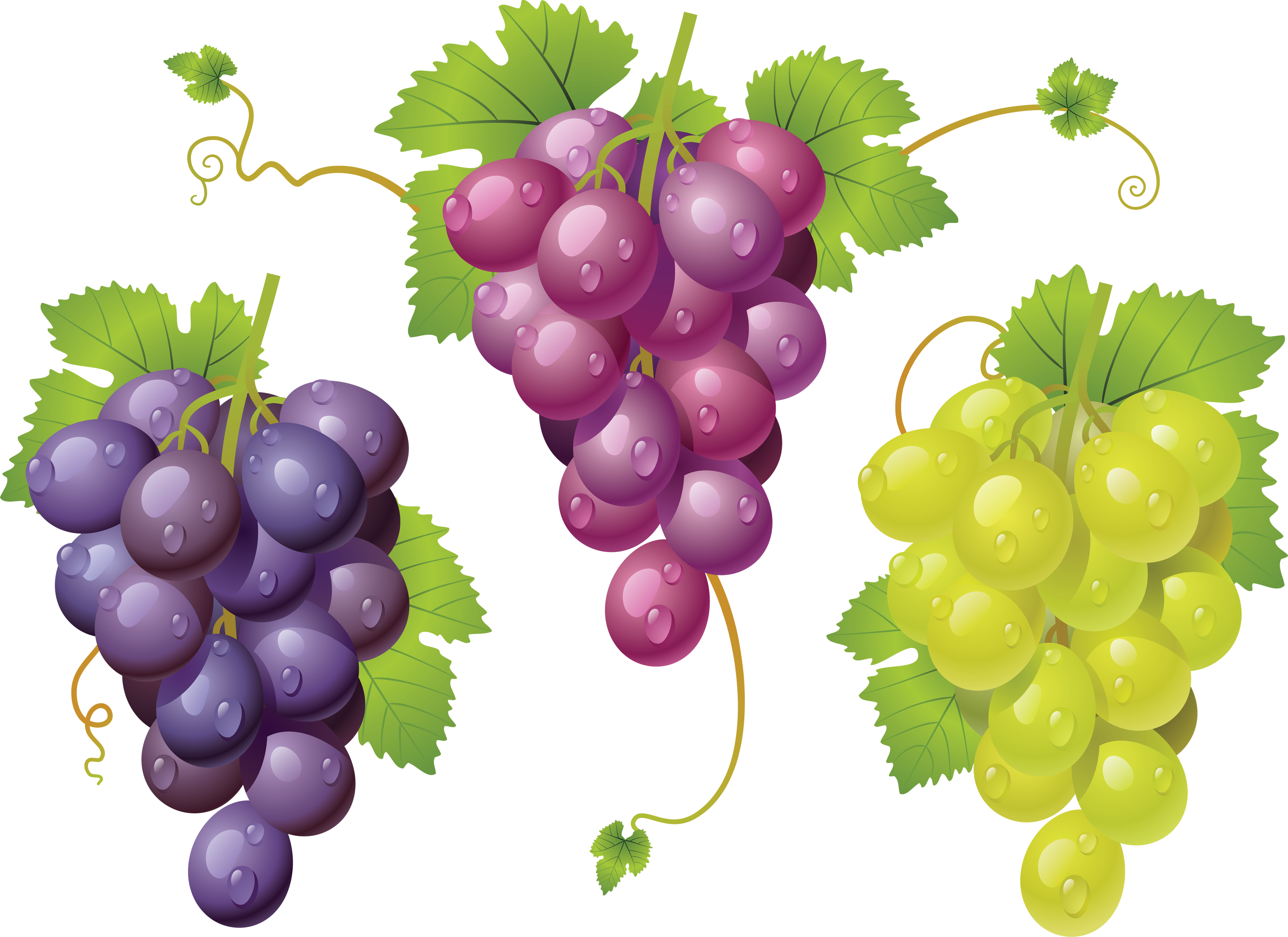 Grapes Clipart Pacman Fruit, Grapes Pacman Fruit Transparent FREE For ...