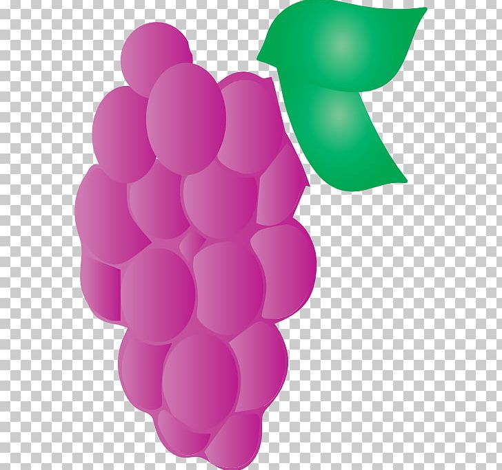 grape clipart pink fruit