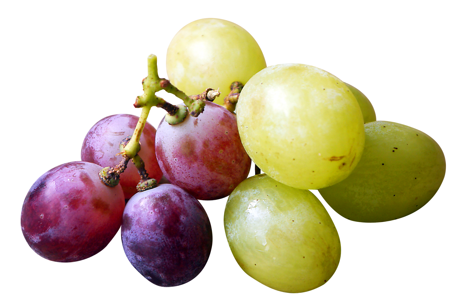 plum clipart single grape