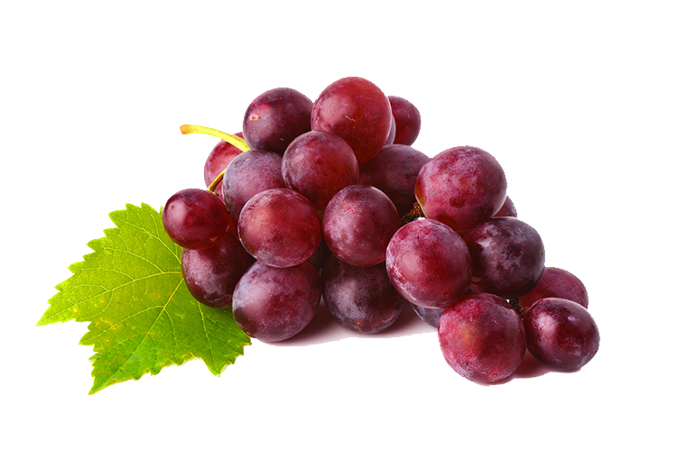 Grape clipart prune juice. Common vine wine clip