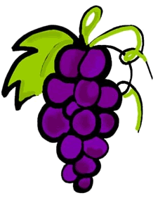 Free purple grapes cliparts. Grape clipart pruple