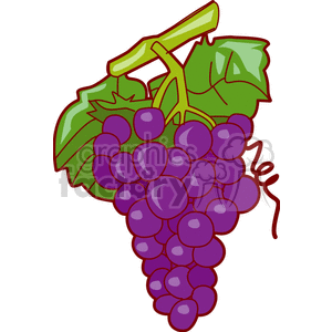 grapes clipart purple food