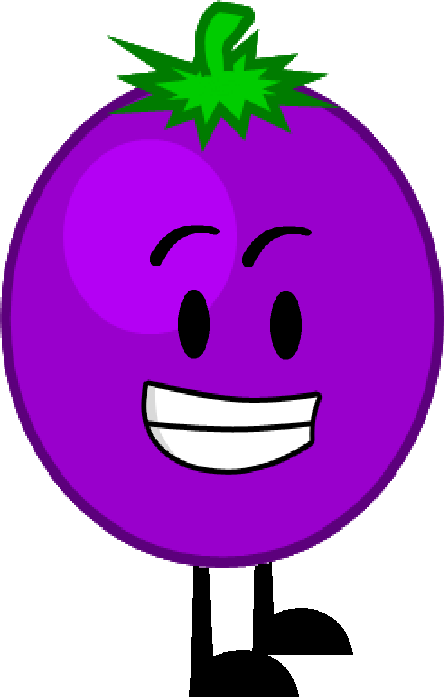 grape clipart purple object