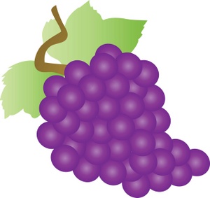 grape clipart real purple