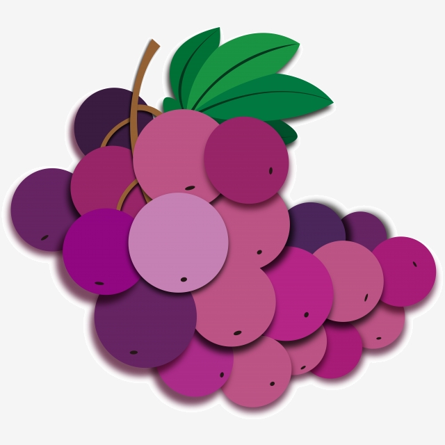 grape clipart real purple
