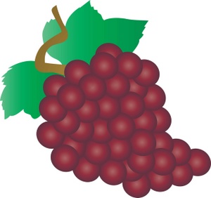 grape clipart red grape