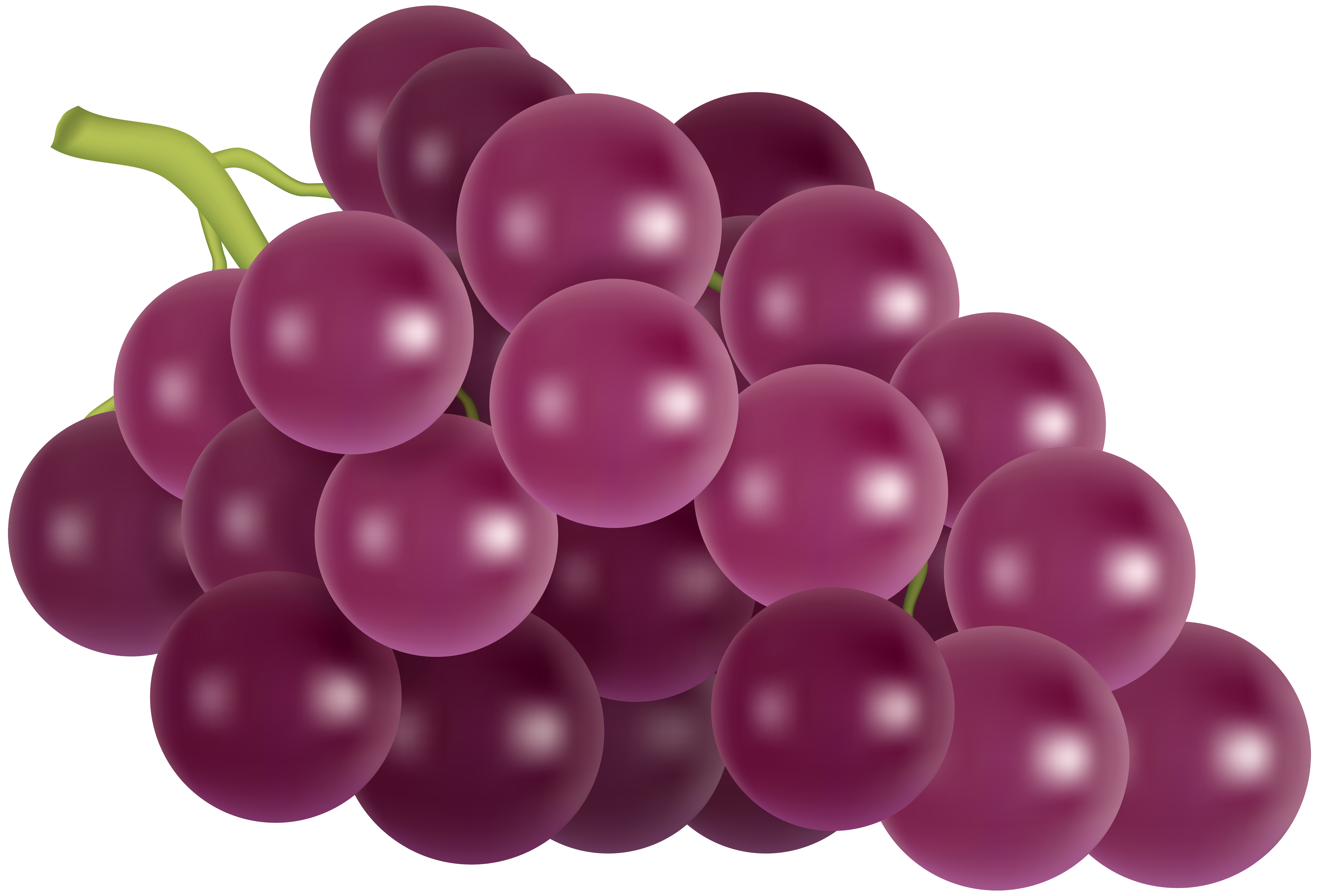 grapes clipart red grape